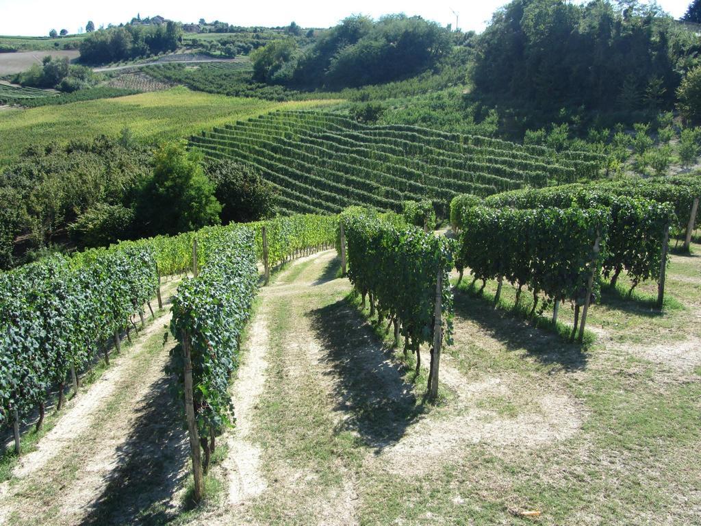 Costa Catterina B&B Castagnito Exterior photo